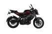 Bajaj Pulsar NS 200 UG resmi
