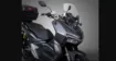 Falcon T-REX 188 resmi