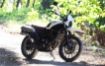 Honda CL250 resmi