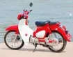 Kamax Cub Pro 125 resmi