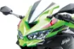 Kawasaki ZX4RR resmi