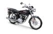 Kuba Çita 100R resmi