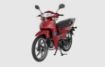 Mondial SFC MINI 50 ec resmi