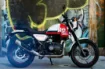 Royal Enfield Himalayan Scram resmi
