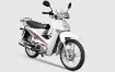 Yuki Gusto 100 resmi