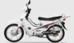 Yuki Gusto 50 resmi