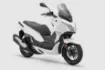 RKS Precio 250 resmi
