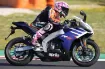 Aprilia RS 125 resmi
