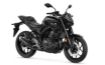 Yamaha MT-25 resmi