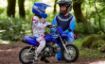 Yamaha TT-R50 resmi