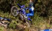Yamaha WR450F resmi