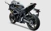 Voge 250 RR resmi