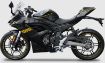 Voge 250 RR resmi