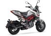 Benelli TNT 125 resmi