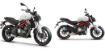 Benelli TNT249S resmi
