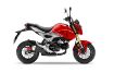 Honda MSX125 resmi