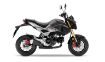 Honda MSX125 resmi