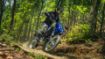Yamaha WR125R resmi