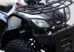 Kuba Gardentrack resmi