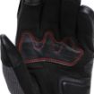 Dainese Teyde İron Gate Gore-Tex resmi
