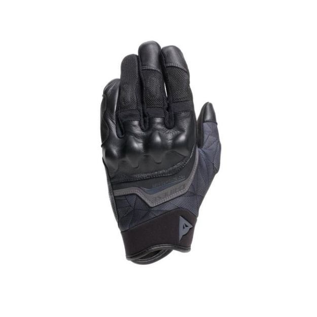 Dainese Ermex  resmi