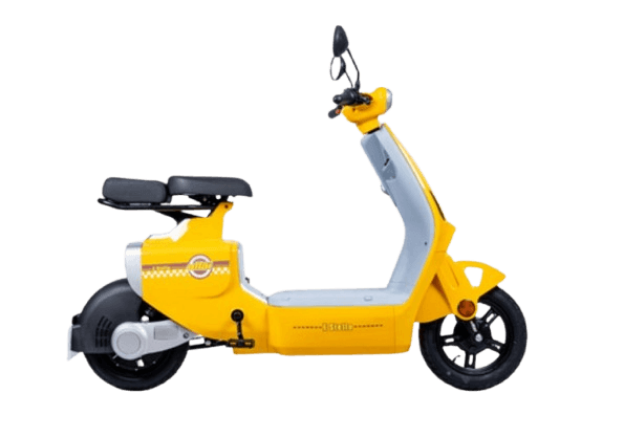 Altai E-Stella resmi
