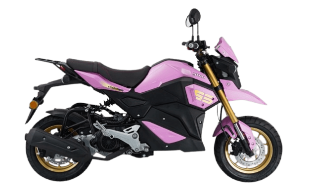 Yuki Hammer 50 resmi