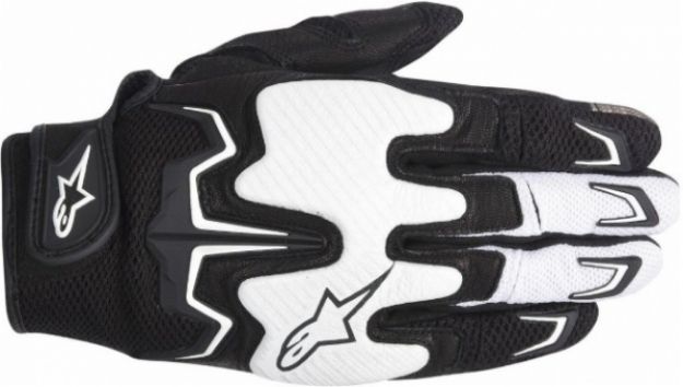 Alpinestars Fighter Siyah-Beyaz resmi