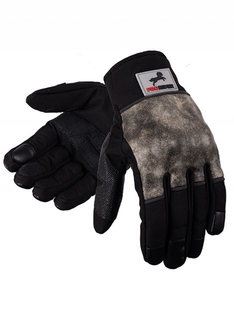 Prorider Cloudy  resmi