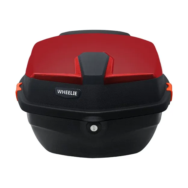 Wheelie  XT01-BR resmi